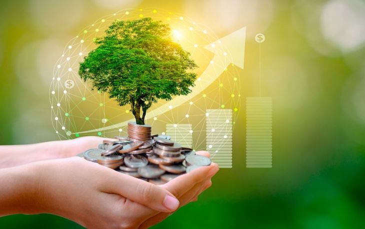 Extremadura anticipa el pago básico y verde de la PAC