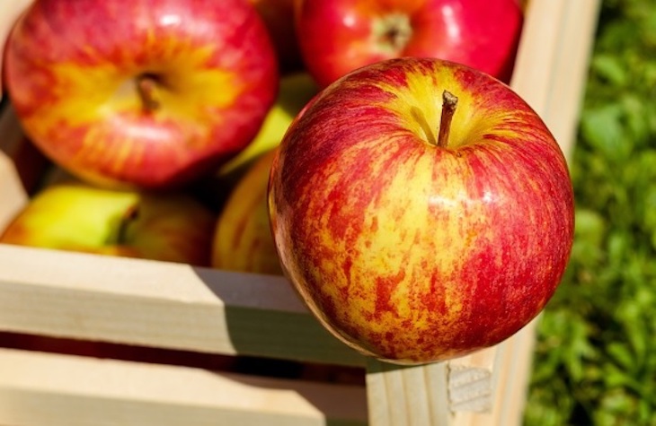 Europa incide en la necesidad de garantizar la sostenibilidad del sistema alimentario