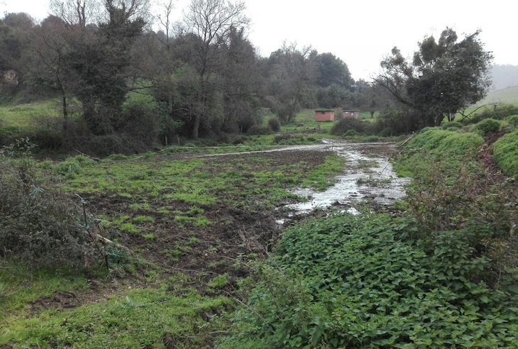 Asturias. Siguen los vertidos purines en el espacio natural de San Andres en Gijón