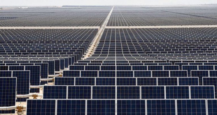 La ‘ineludible’ conservación de la Biodiversidad es ‘vital’ para plantas fotovoltaicas