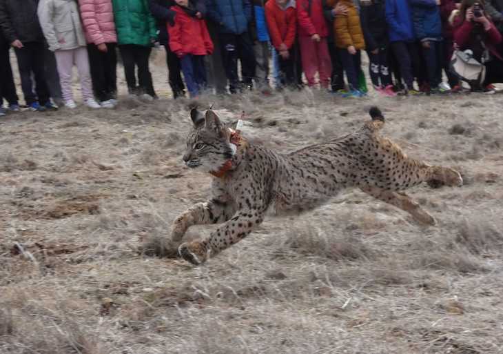El Campo de Montiel (Castilla-La Mancha) aumentará su biodiversidad