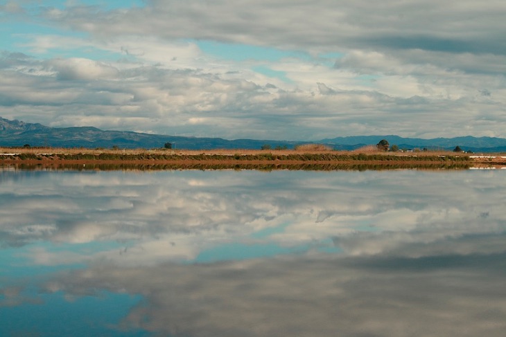 Firme compromiso con la protección del Delta del Ebro