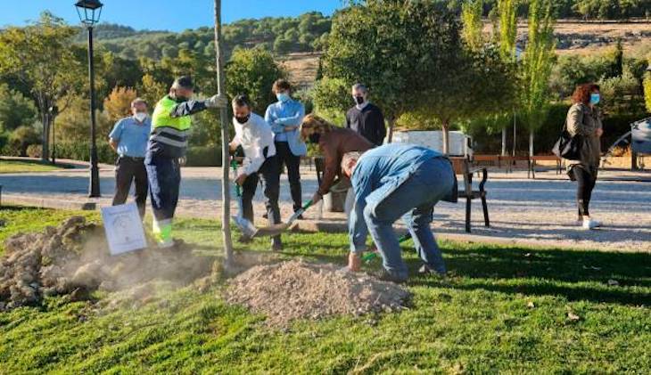 Jaén plantados mil árboles