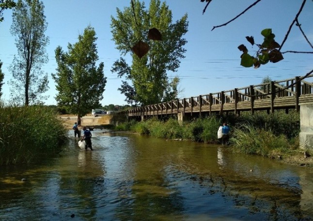Proyecto Voluntariado en playas y ríos