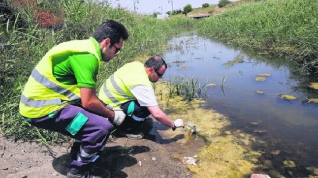 Tratamiento contra las larvas de mosquito en el paraje del Guadalhorce