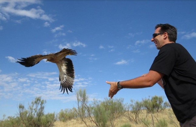 El Hospital de Fauna Salvaje de GREFA ‘se sale’