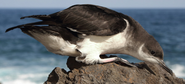 Fundación Biodiversidad