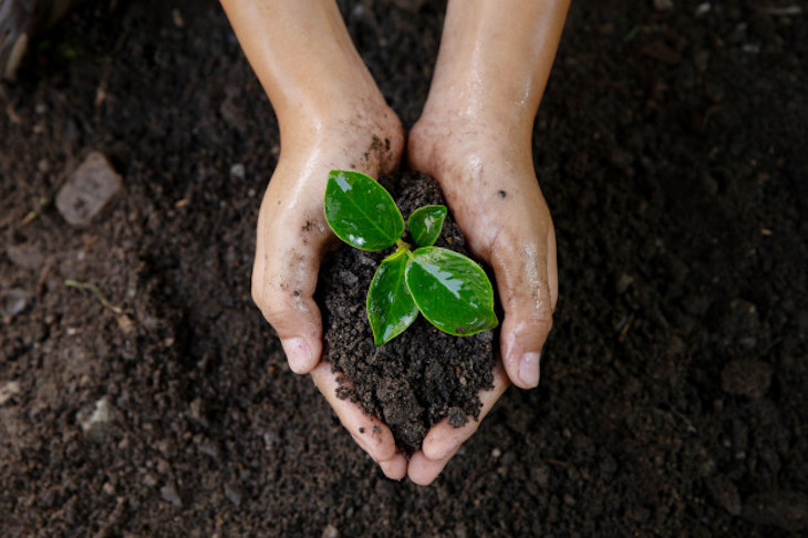 Premios Andalucía de Medio Ambiente 2020