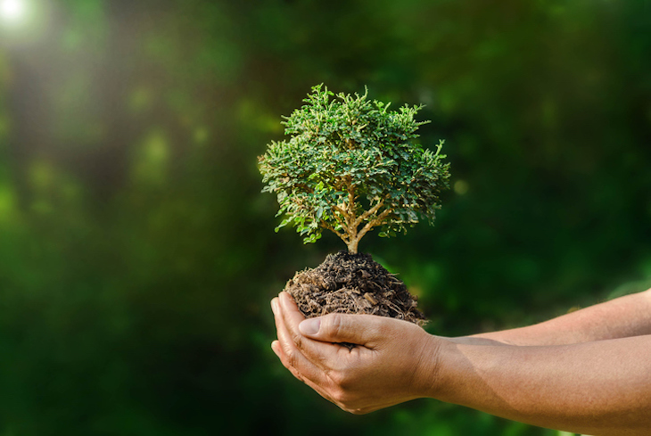 Por una ‘transición socioecológica’ en Baleares