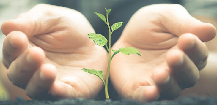 La Asamblea de ONU Medio Ambiente a celebrar en 2021 se centrará en soluciones basadas en la naturaleza