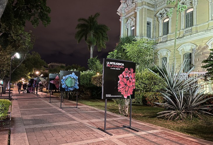 México. El CICY muestra