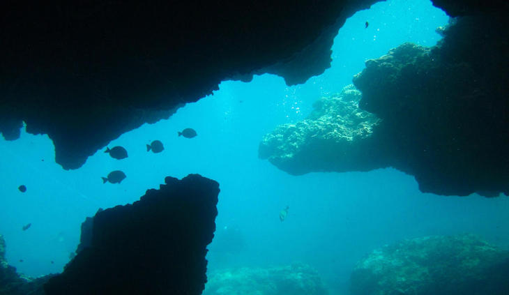 El océano profundo ya está afectado por la ‘crisis climática’