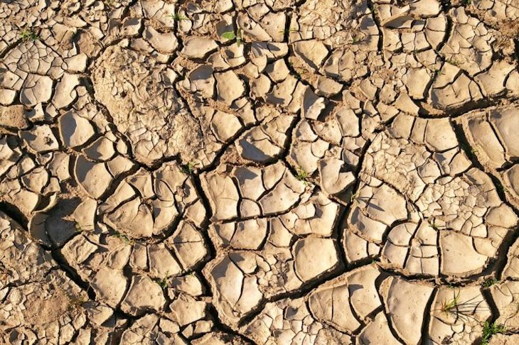 La ‘crisis climática’ extenderá las tierras secas y serán menos productivas