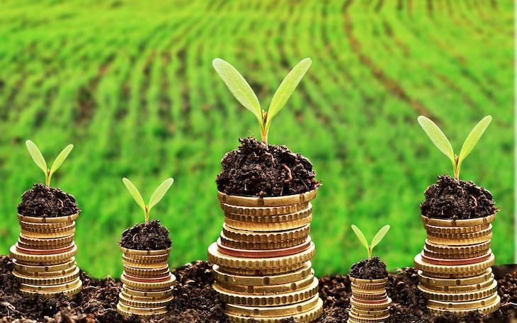 La ‘economía verde’ de este siglo