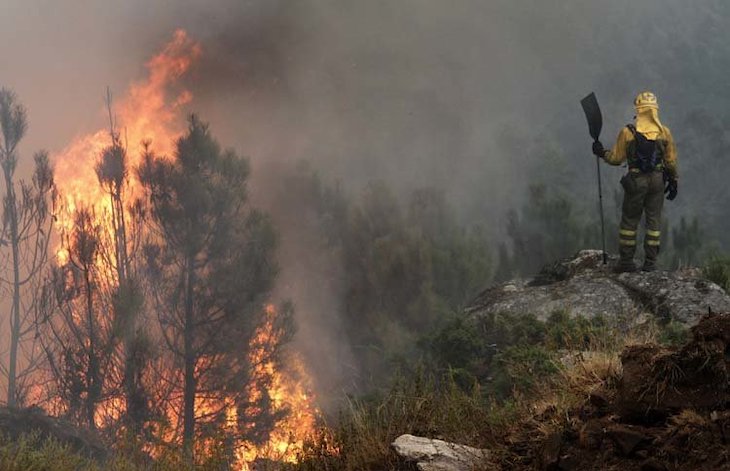 La BENEMERITA intensifica la vigilancia para evitar incendios forestales en Galicia