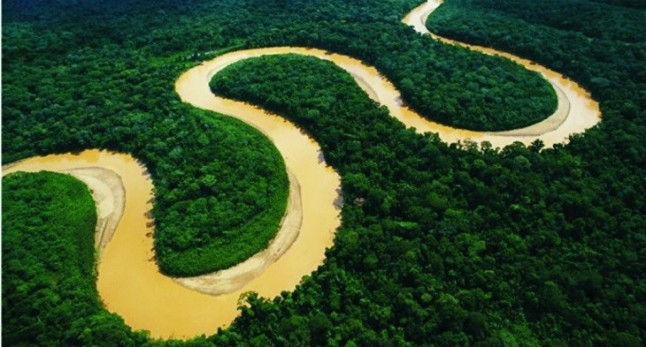 Los brasileños desean estar más cerca de la naturaleza pero creen que no se la cuida lo suficiente