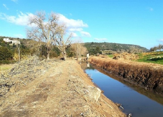 Terraferrida critica el "destrozo" del torrente de Na Llebrona de Manacor por las tareas de limpieza de Medio Ambiente