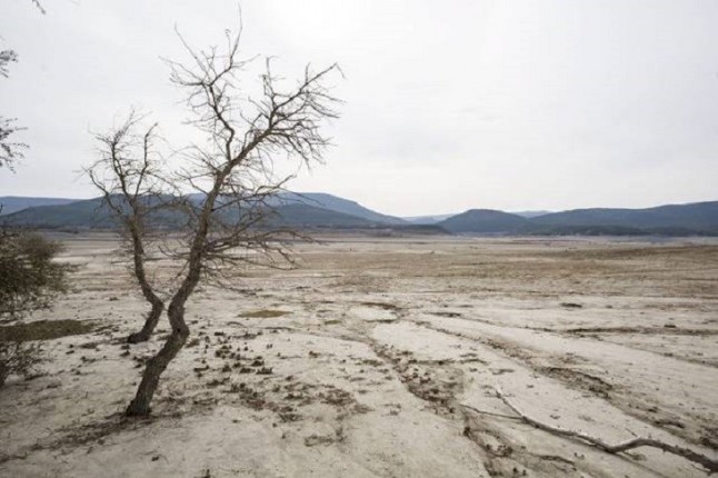 Inminente aprobación de la Ley de Cambio Climático
