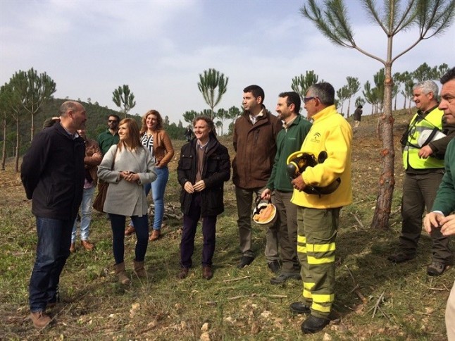 La Rioja financiará actuaciones de reforestación y creación de superficies forestales