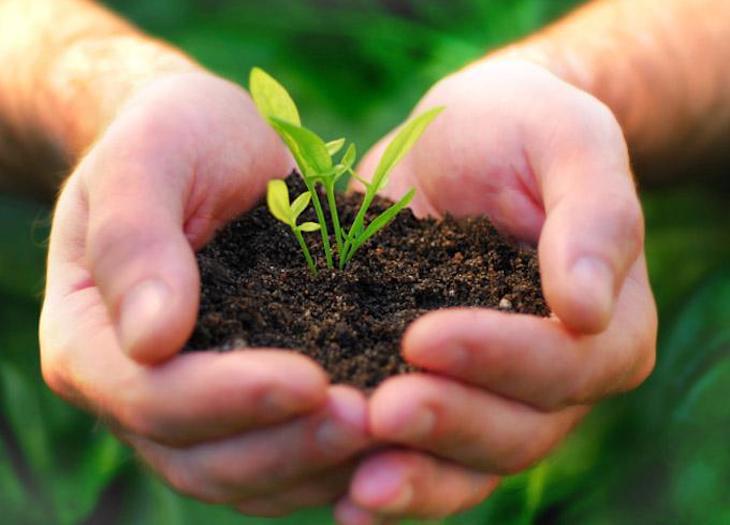 Cantabria quiere que Europa apoye sus proyectos medioambientales