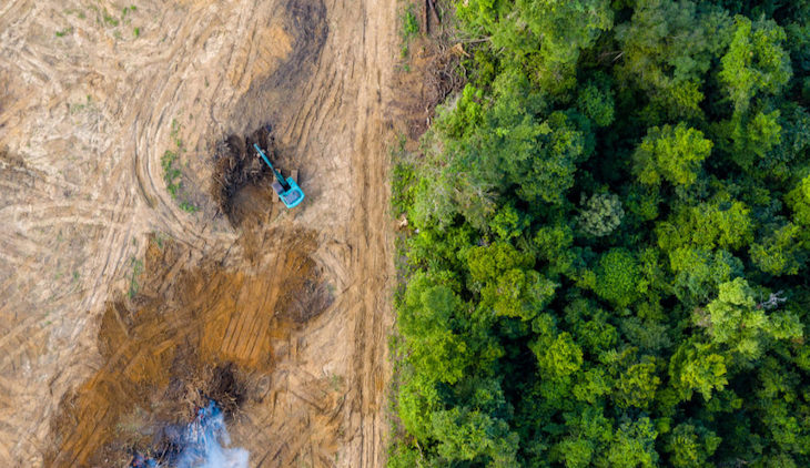 Más del 90 por ciento de áreas protegidas están aisladas entre sí