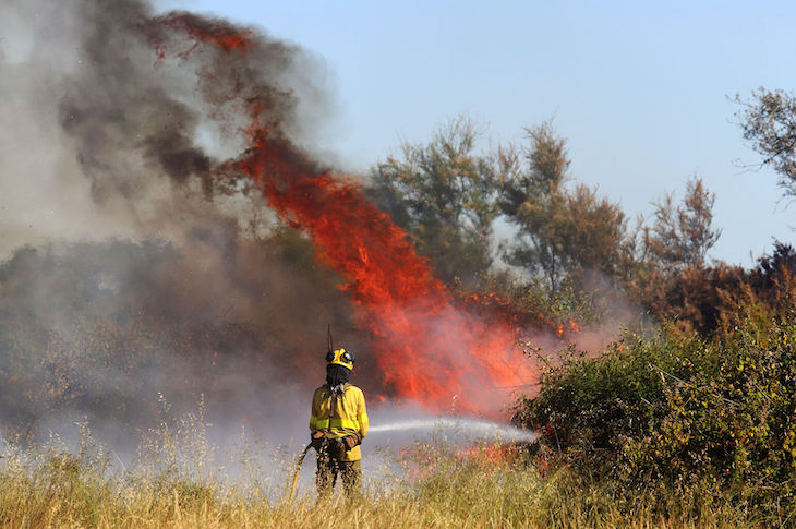 Andalucía apuesta por invertir en prevención y planificación medioambiental para evitar futuros incendios