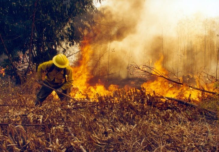 Las hectáreas afectadas por incendios forestales en C-LM se reducen un 72%