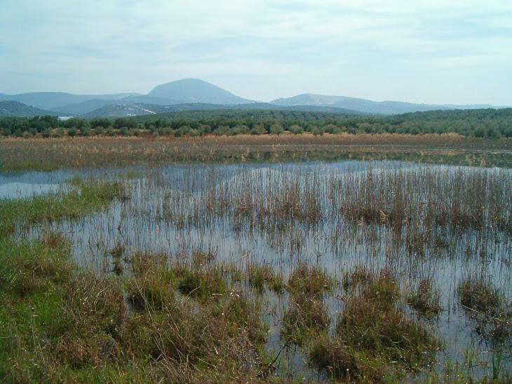 El Inventario de Humedales de Andalucía ‘actualizado’