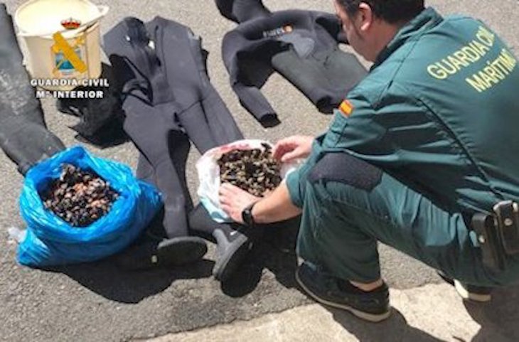 Pillados con percebes recogidos de forma ilegal en Santander