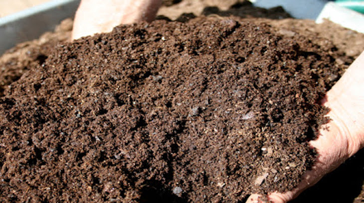 Controladas todas las bacterias y hongos que intervienen en el compostaje