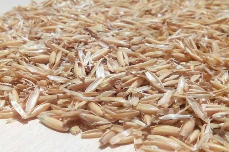 Seat sustituirá plásticos por cáscaras de arroz