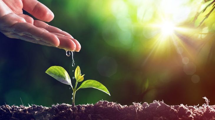 Los jóvenes dispuestos a ‘darlo todo’ por un Planeta VERDE