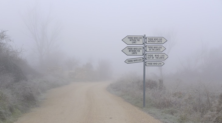 Fundación Enaire recibe el visto bueno a dos de sus propuestas por parte del Real Jardín Botánico