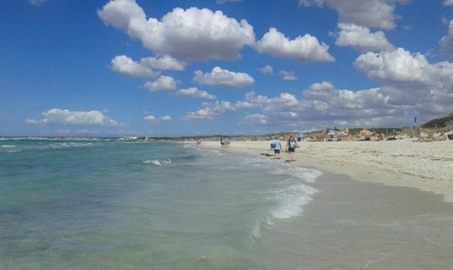 Refuerzan la vigilancia en el Parque Natural de Es Trenc