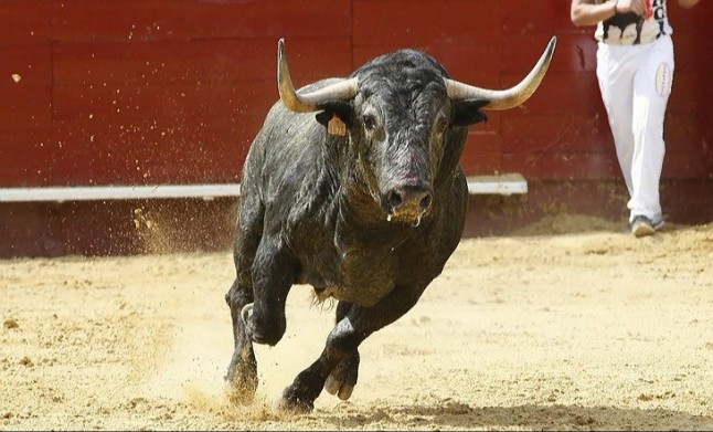 El PP advierte de una batalla judicial si se intentan prohibir los toros