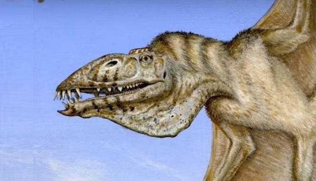 Descubierto un raro pterosaurio triásico en Utah