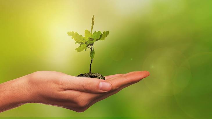 La OCDE advierte de que algunas ayudas de la reconstrucción se destinan a proyectos dañinos para el medio ambiente