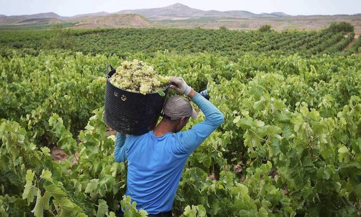 La agricultura reemplaza a los combustibles fósiles como la mayor fuente humana de azufre para el medio ambiente