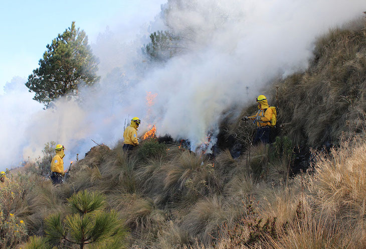 México presta atención incendios forestales en Arteaga y Santiago