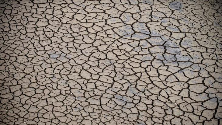 Primer aniversario en Sevilla de la ‘Declaración del Estado de Emergencia Climática y Ecológica’