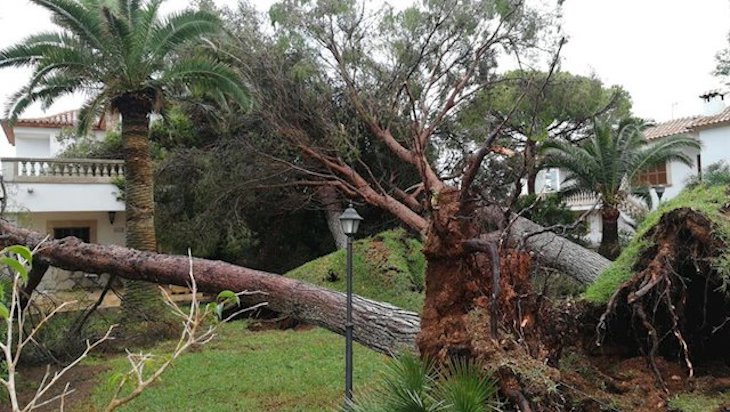 Baleares dice que la situación climática requiere un "inevitable" replanteamiento de la planificación de la costa