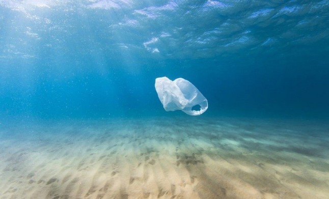 La Carta de Sostenibilidad de Cetáceos