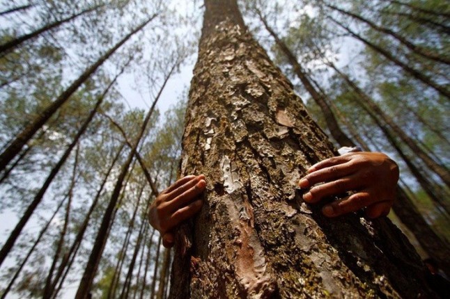 El Ayuntamiento de Valencia destina 7