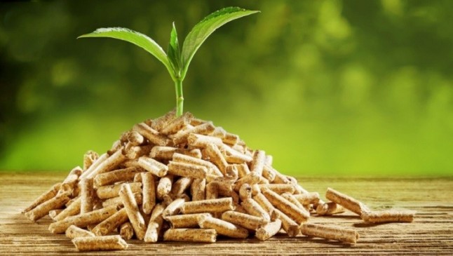 Enagás y Ence firman un acuerdo para el desarrollo de gas renovable a partir de biomasa