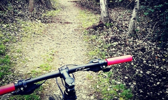 Disfrutemos de los bosques catalanes de manera responsable