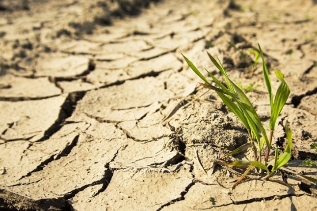 Más de 20 medios de comunicación firman un decálogo por el que se comprometen a informar sobre el cambio climático