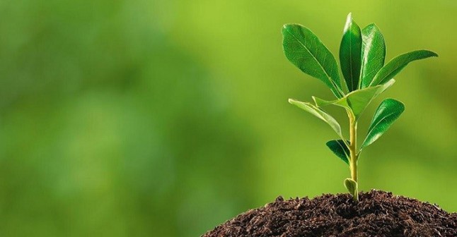 Es inaplazable una reforma de la Constitución con el medio ambiente como derecho fundamental