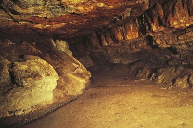 Se suspende por tercera semana la visita pública a Altamira por el CO2