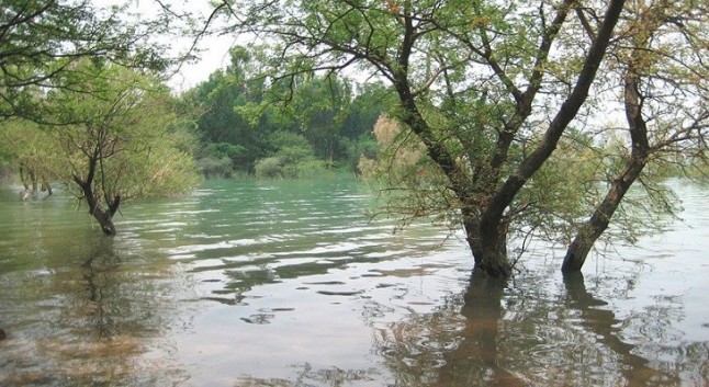 Reducción sin precedentes en las lluvias monzónicas desde hace 80 años