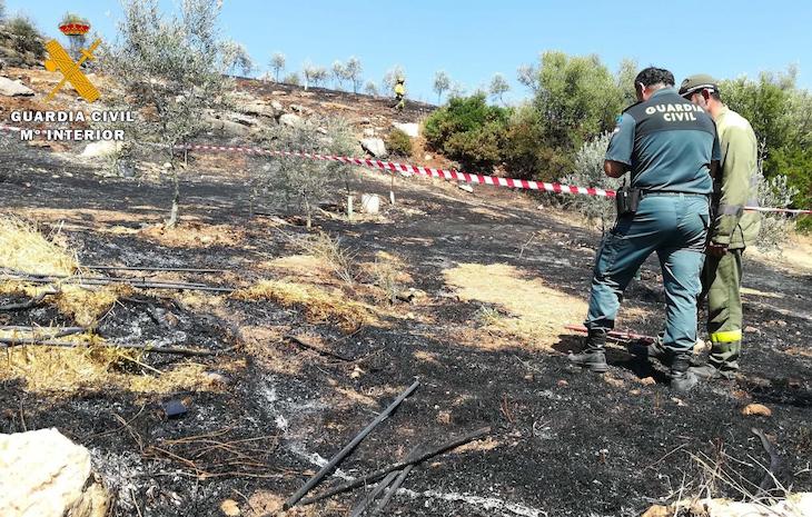 Cinco detenidos por incendios forestales en Córdoba